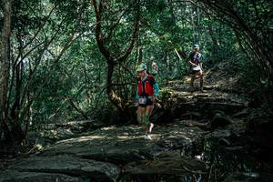 BIB: 
                            <button type="button" onclick="openModal(25861611)" class="btn btn-primary btn-sm float-right btn-popup" data-toggle="modal" data-target=".modal-high-quality">
                        <i class="fas fa-shopping-cart"></i> Add to Cart
                    </button>
                                            <button type="button" onclick="isThisMe(25861611, true)" class="btn btn-success btn-sm float-right btn-popup btn-isme hidden" data-toggle="tooltip" data-placement="bottom" title="นี่คือรูปของคุณใช่ไหม คลิกที่นี่เพื่อเอาเข้าอัลบั้ม">
                        <i class="fas fa-plus"></i> Add to album
                    </button>
                    <button type="button" onclick="isThisMe(25861611, false)" class="btn btn-warning btn-sm float-right btn-popup btn-isnotme hidden">
                        <i class="fas fa-ban"></i> Remove from album
                    </button>